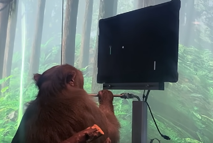 The Neuralink Monkey Demo | LaptrinhX / News