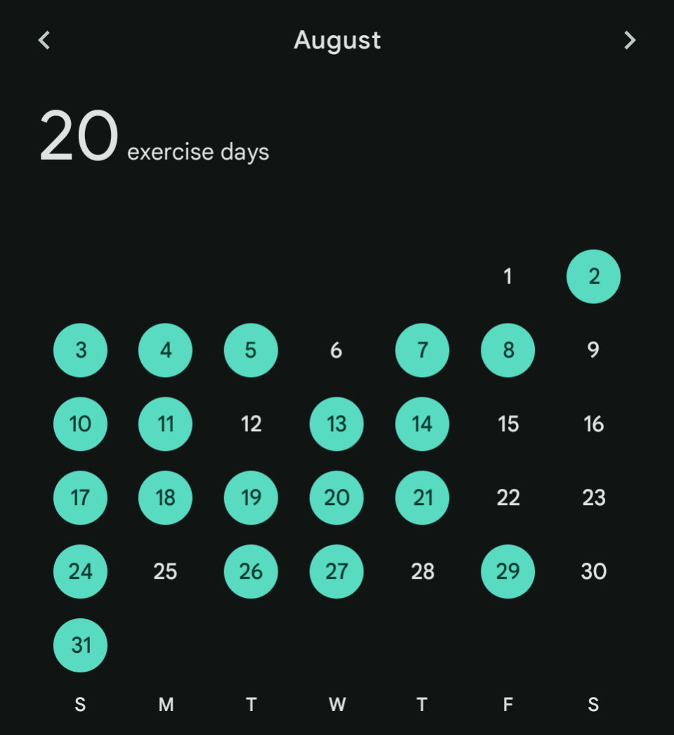 Screenshot from Fitbit showing that I exercised 20 days out of 31 in August.