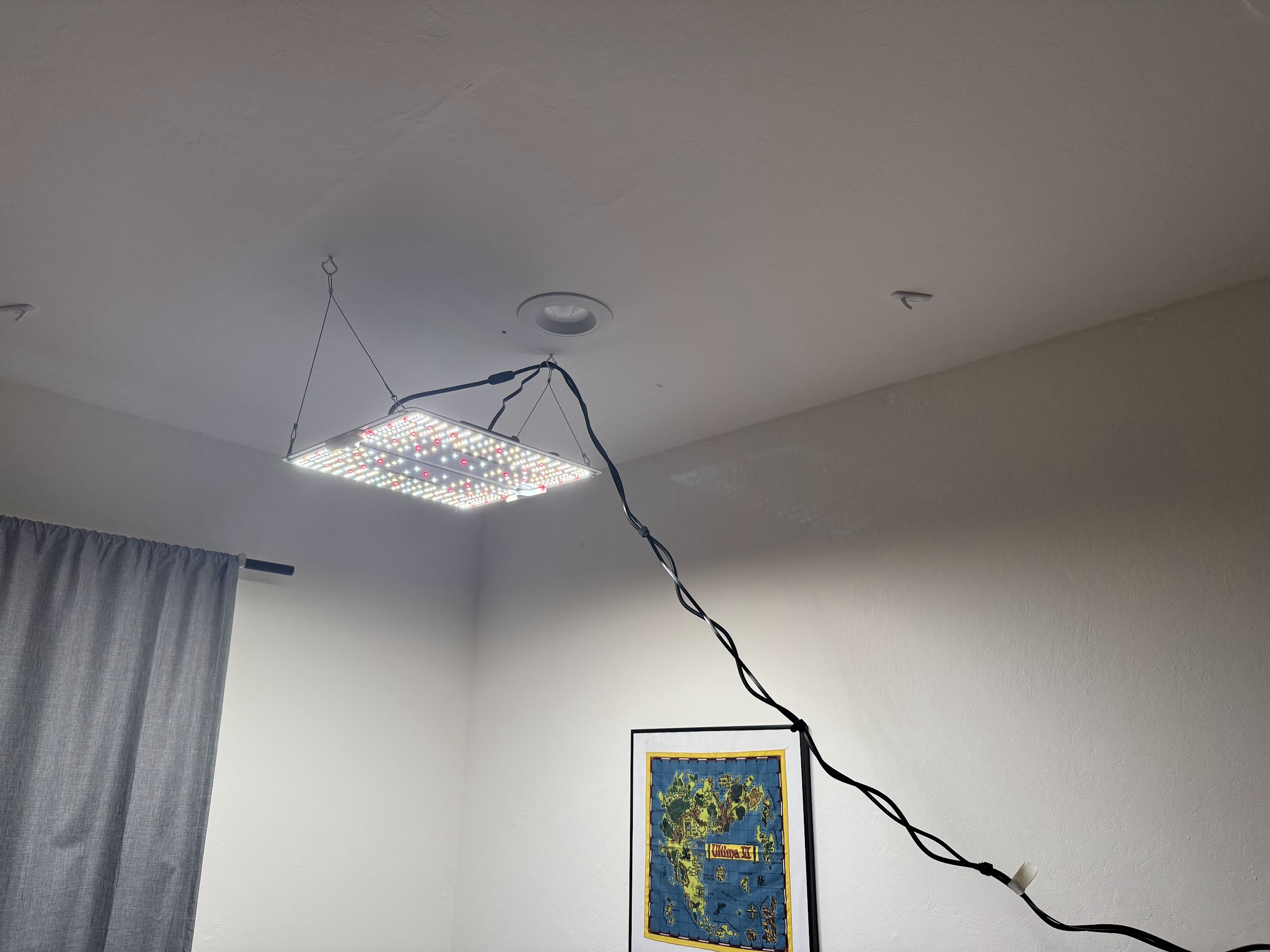 LED grow light hanging from ceiling with visible power cord.